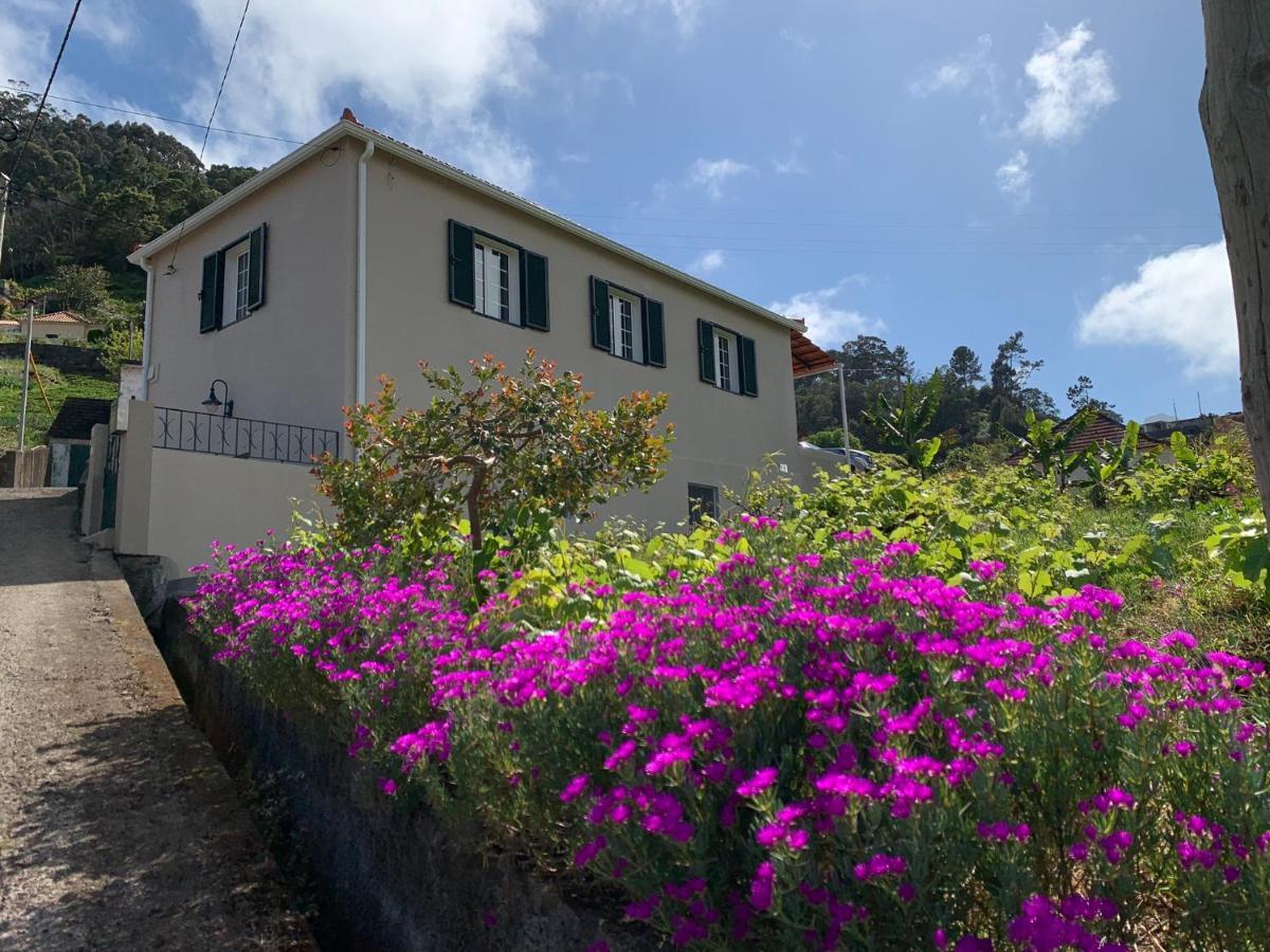 Terra Batista House Villa Porto Da Cruz Buitenkant foto